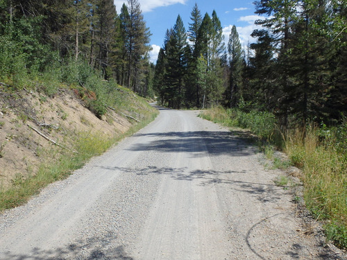 GDMBR: Here we are, pedaling down NF-4106 towards Lincoln, Montana.